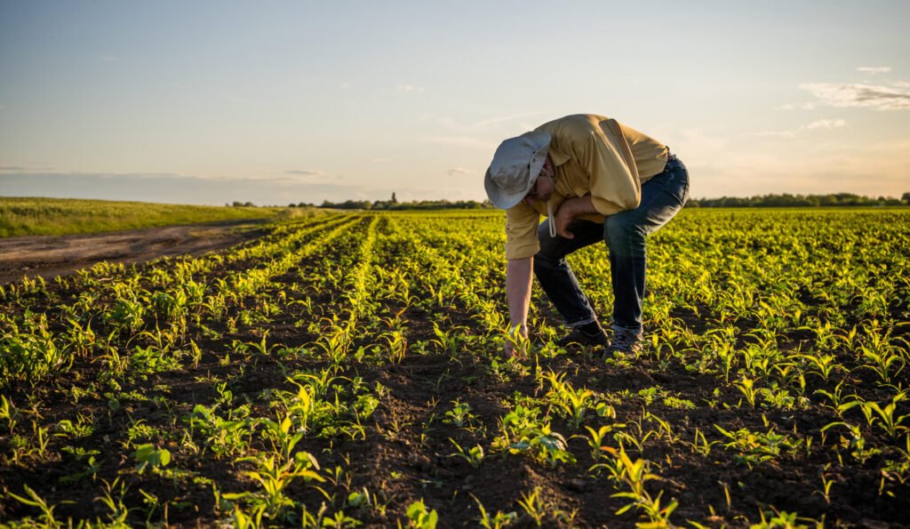 Pasión por la tierra
